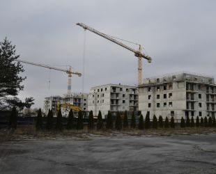 Lorem ipsum dolor sit amet 5