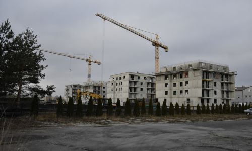 Lorem ipsum dolor sit amet 5